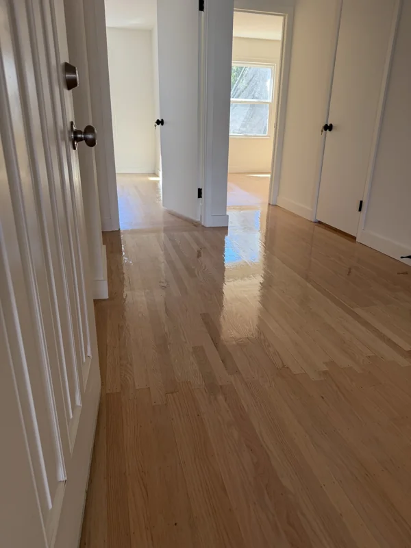 Warm wood flooring connects the hallway with the adjoining rooms.